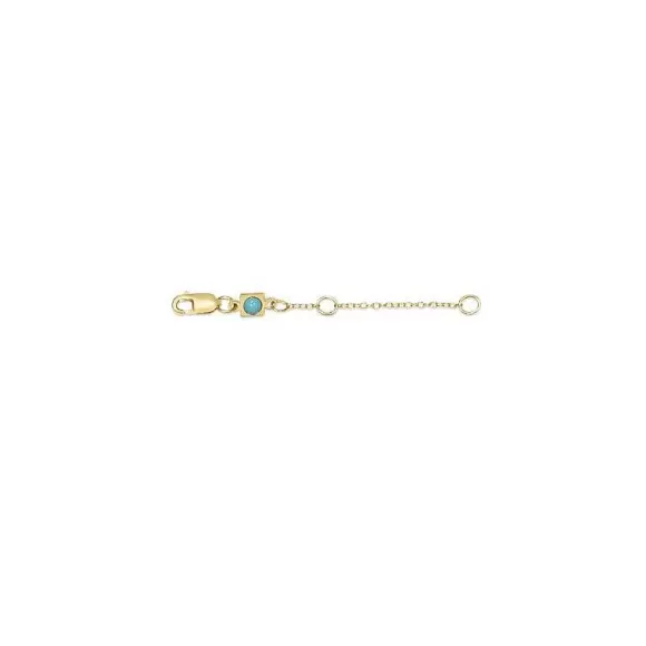 ENewton Design 2" Necklace Extender-Gold> Necklaces