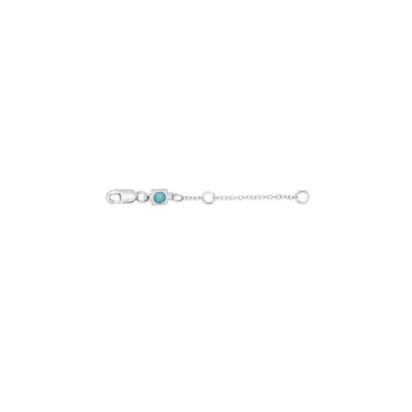 ENewton Design 2" Necklace Extender-Silver> Necklaces