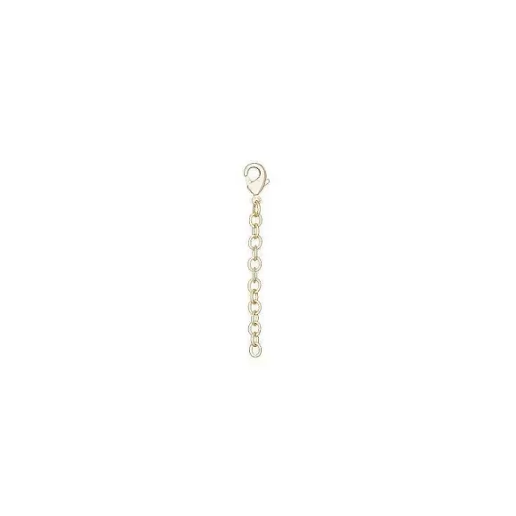 Kendra Scott 2" Lobster Claw Necklace Extender In Gold> Necklaces