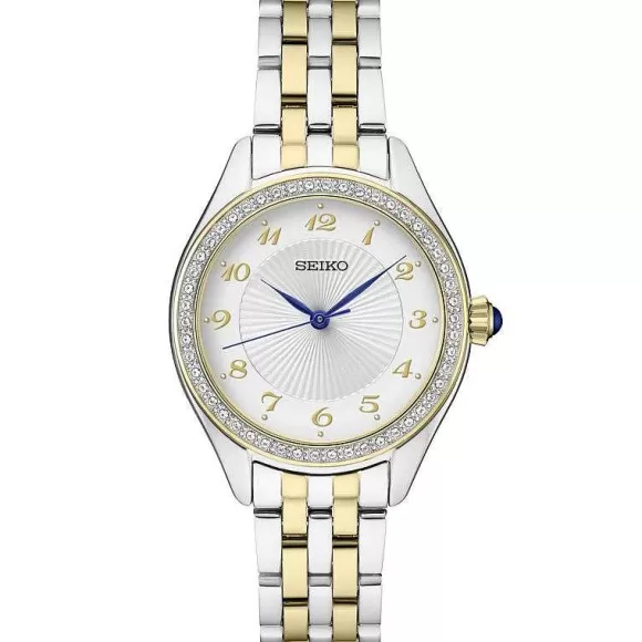 Seiko Ladies Essentials Watch> Watches